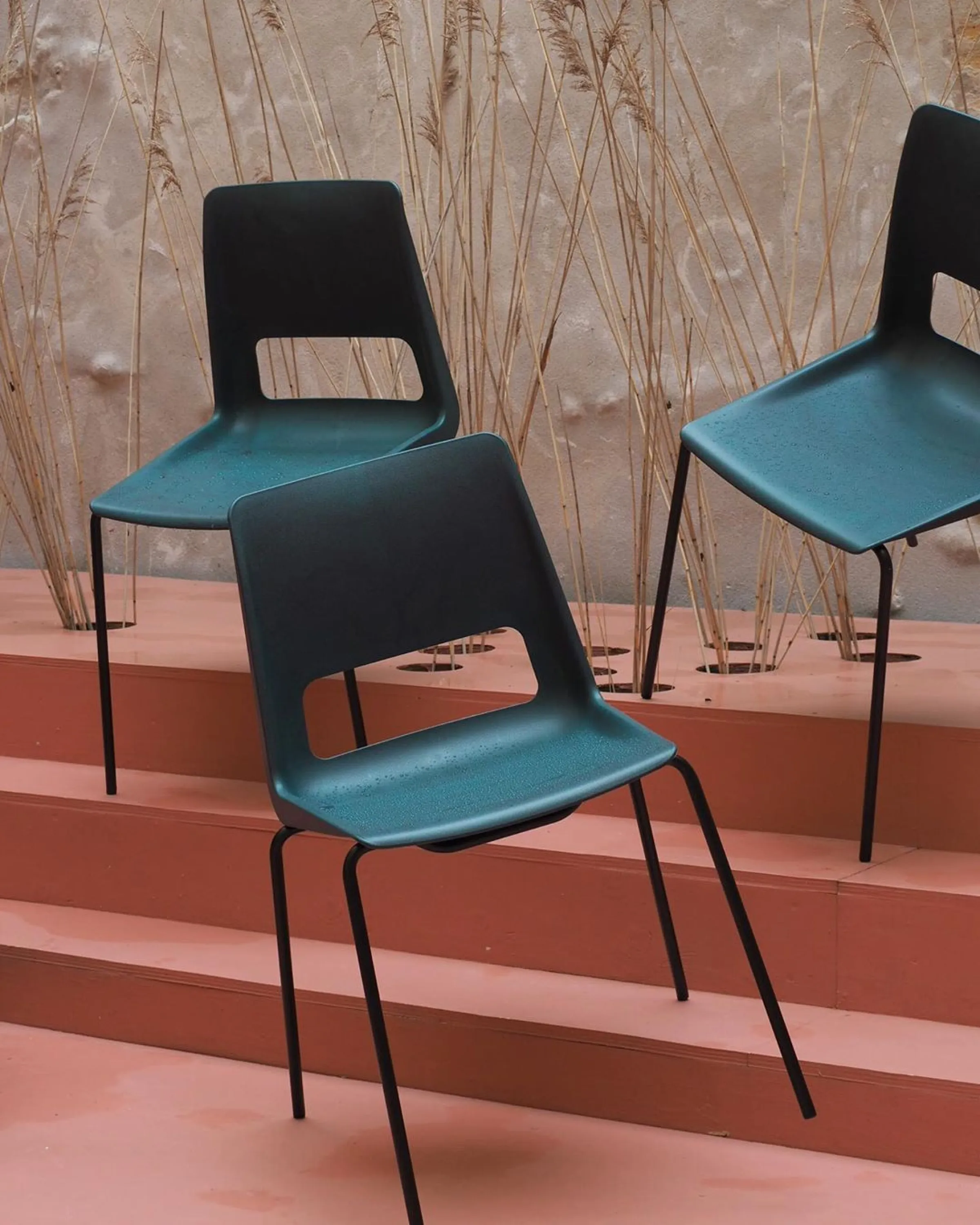 Upcycled plastic chairs displayed against foliage.