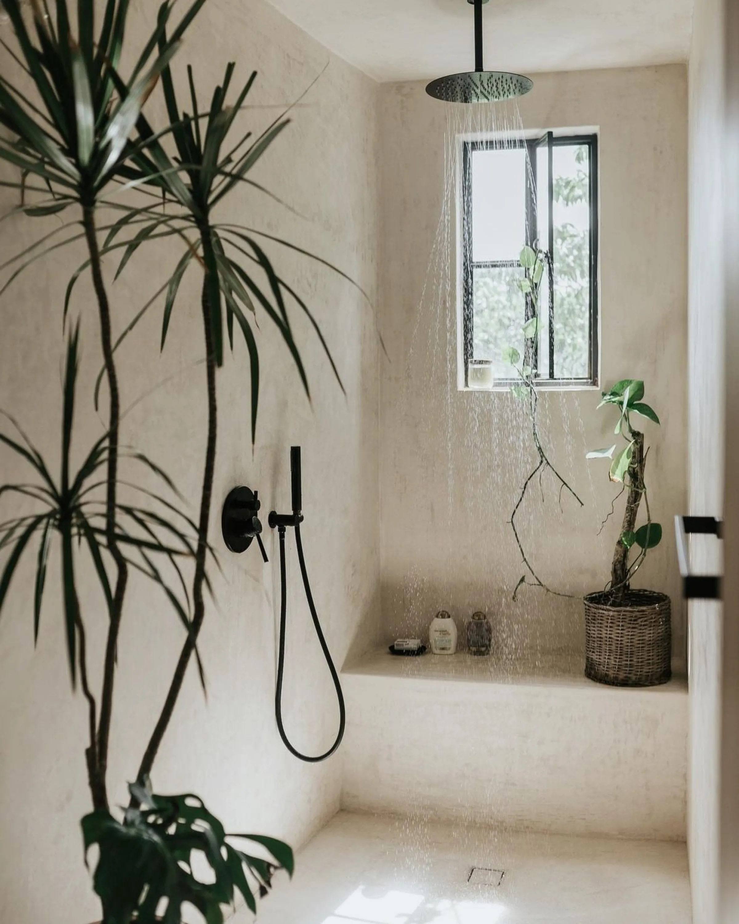 Wide walk-in shower with plants and a window.