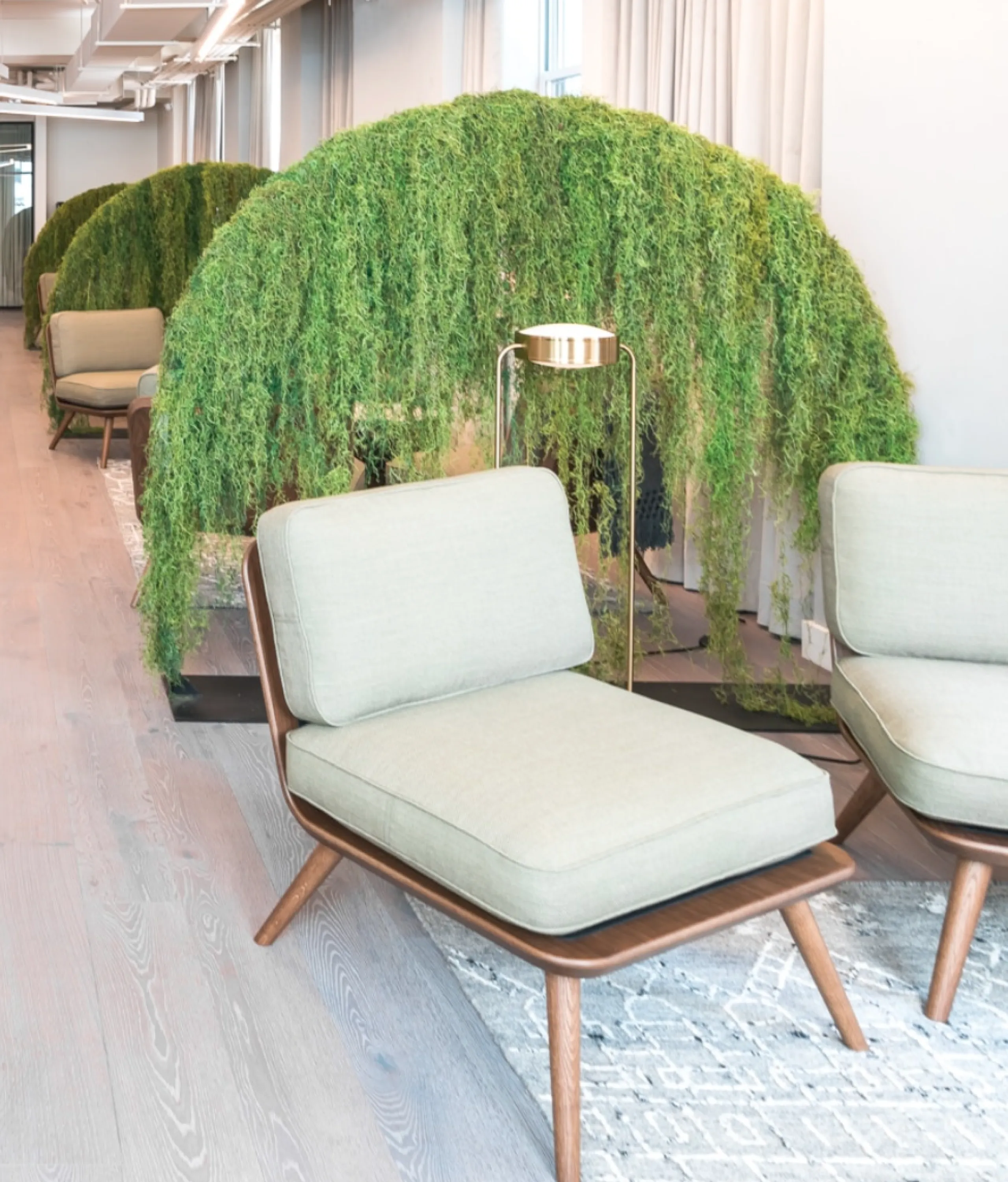 Room divider made with draping plants secured on an arched structure.