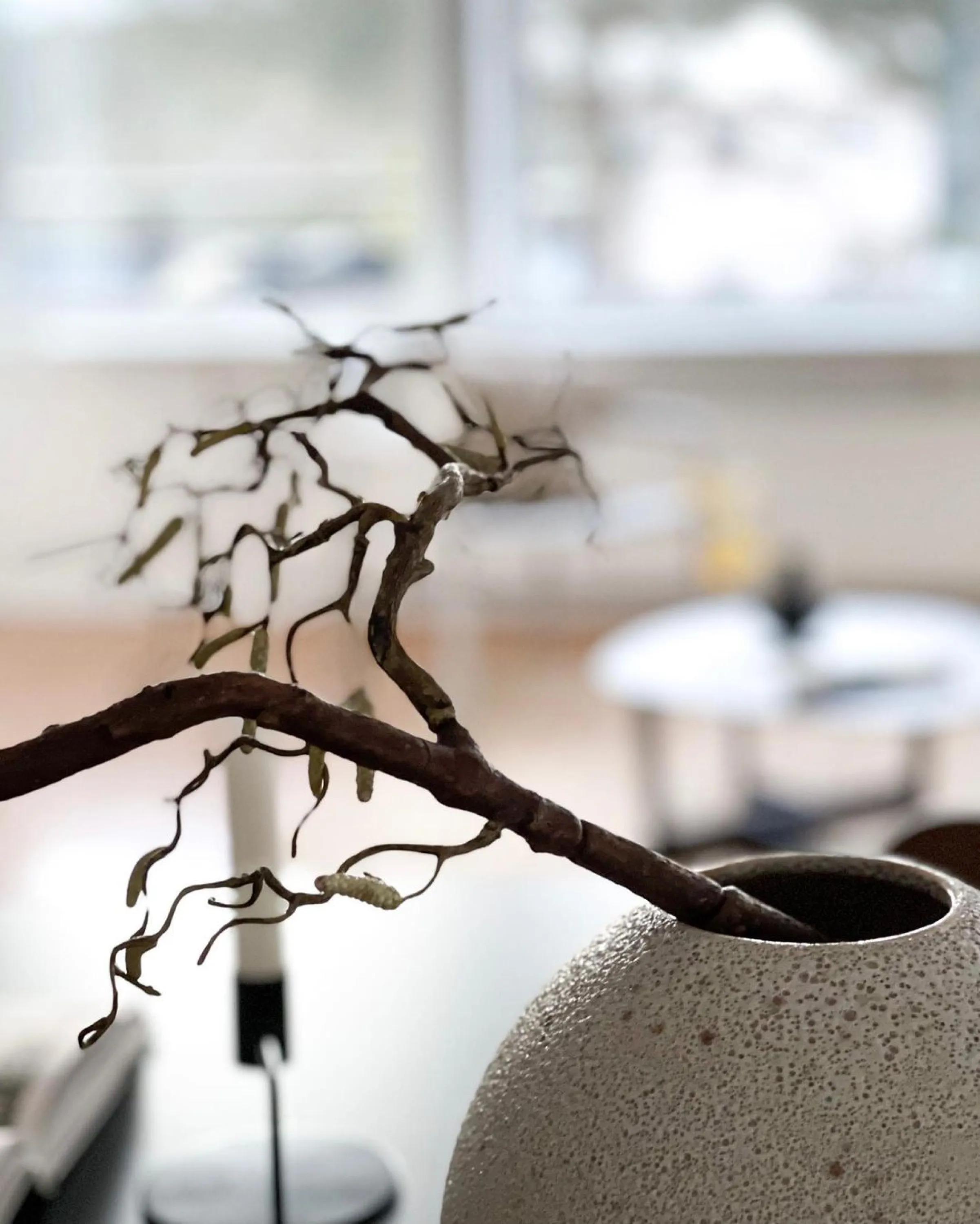 Close-up of simple branches arranged into a vase.