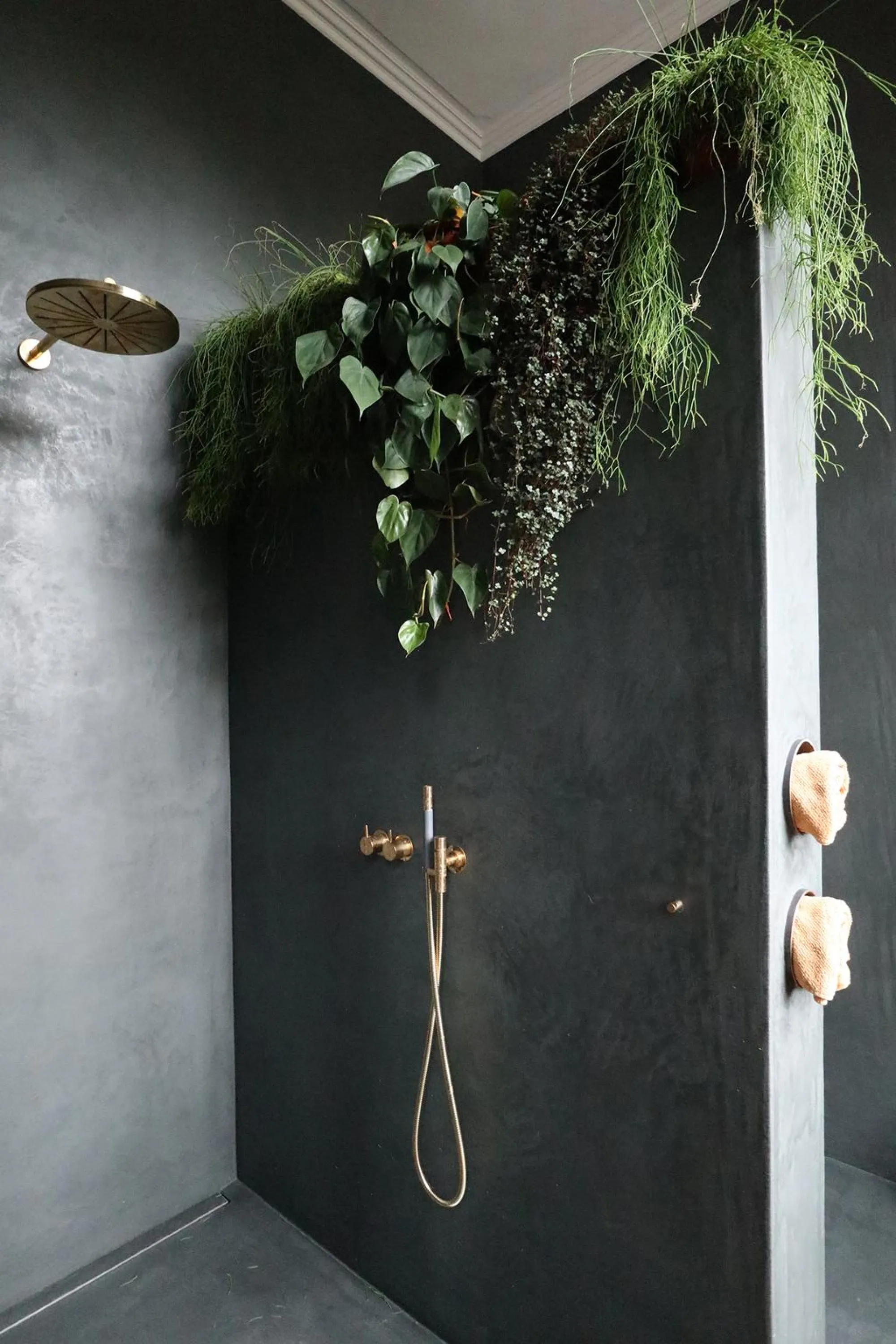 Draping plants add texture to the smooth surface of a shower wall.