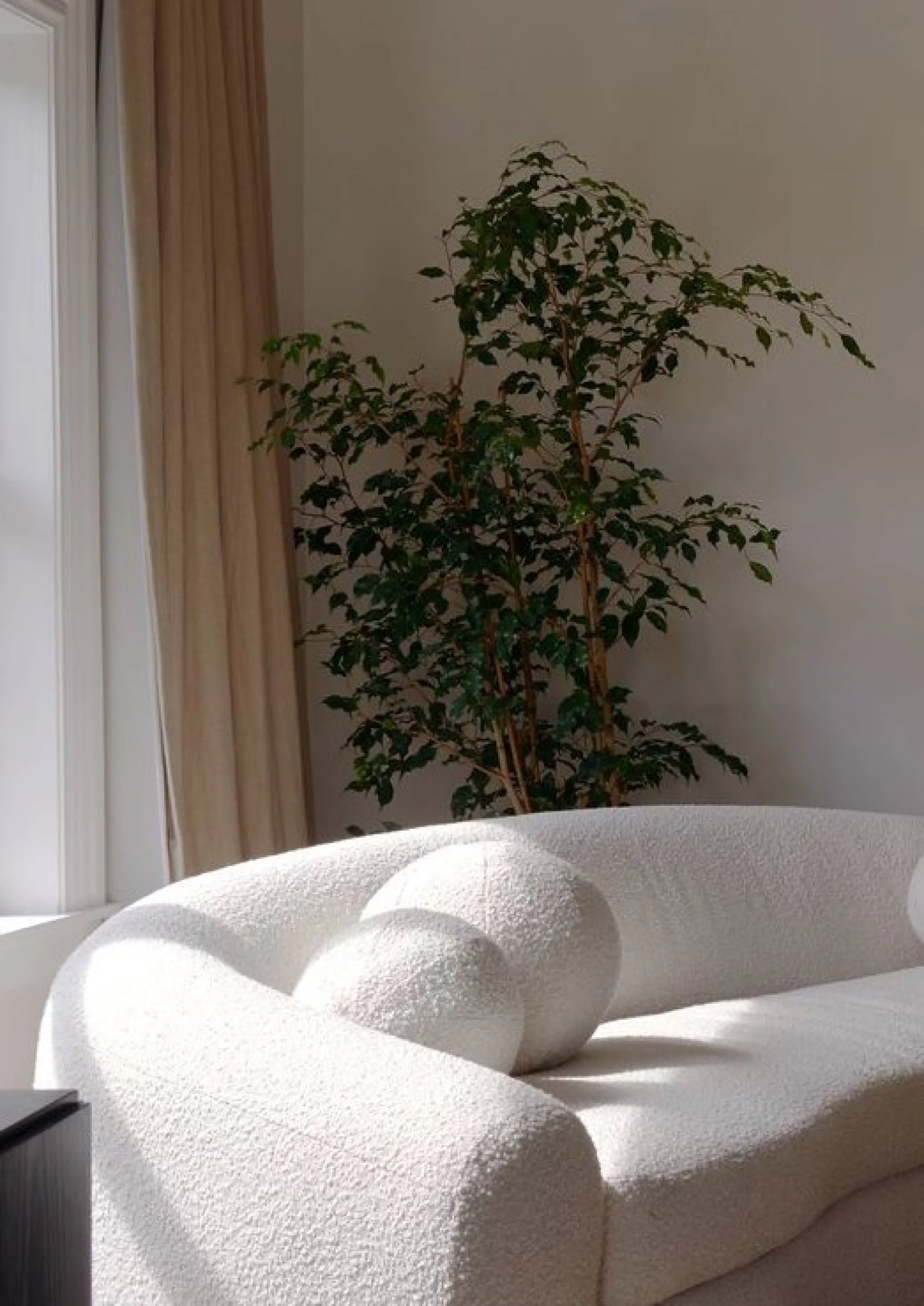 Natural light highlighting the rich texture of a sofa.
