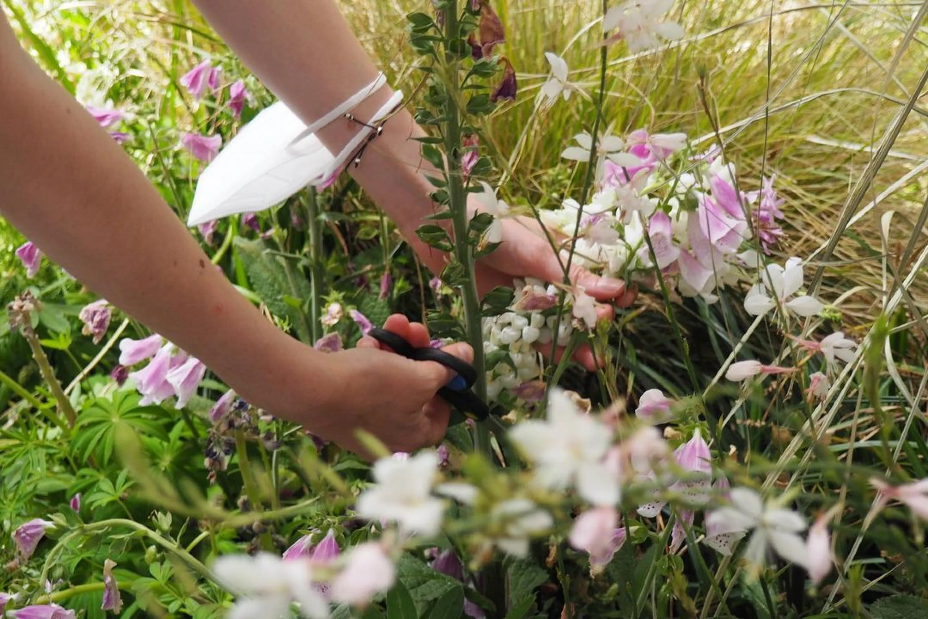 Close-up of a person foraging flowers.