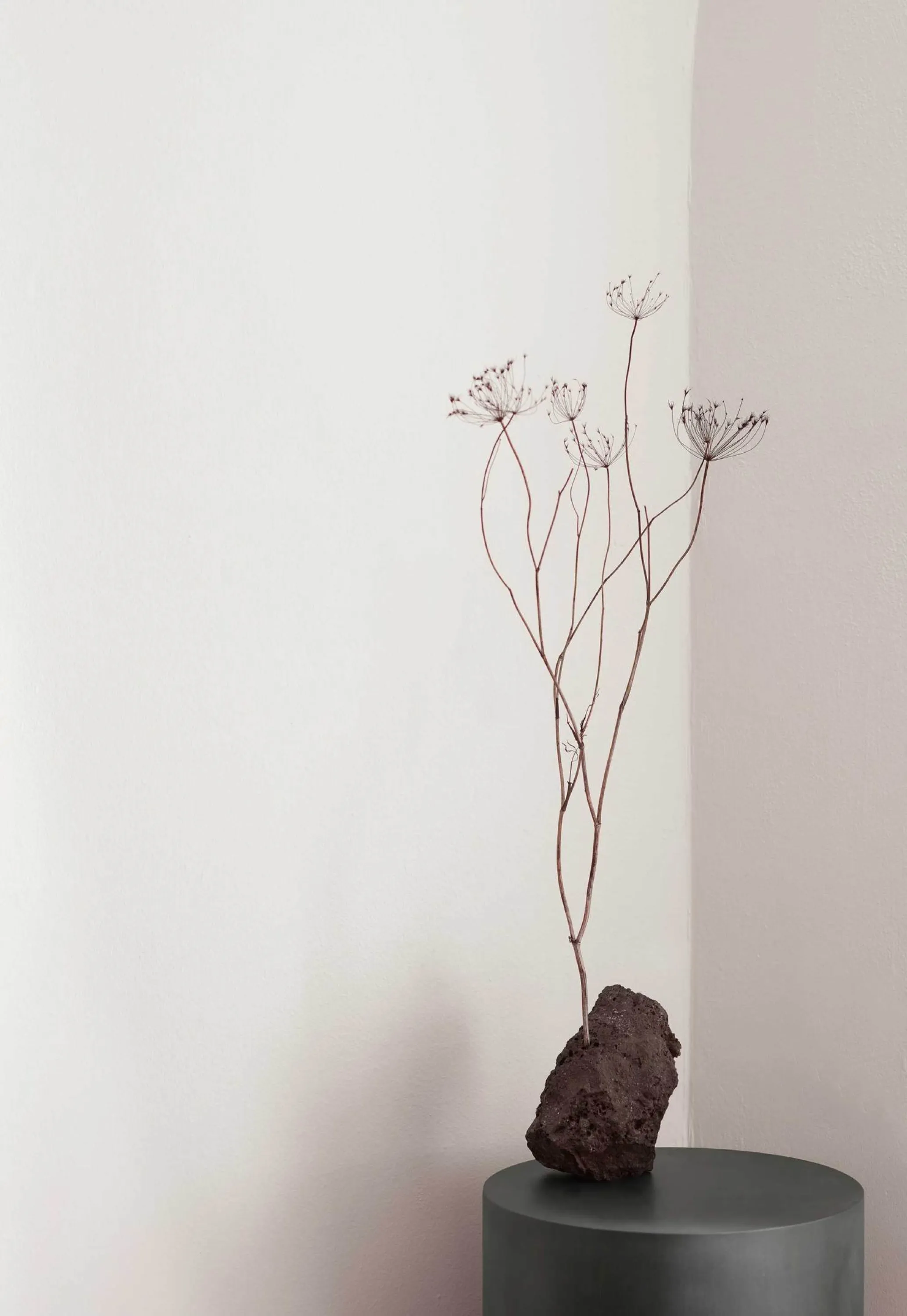 Tall dried flowers arranged into a stoned shaped vase.