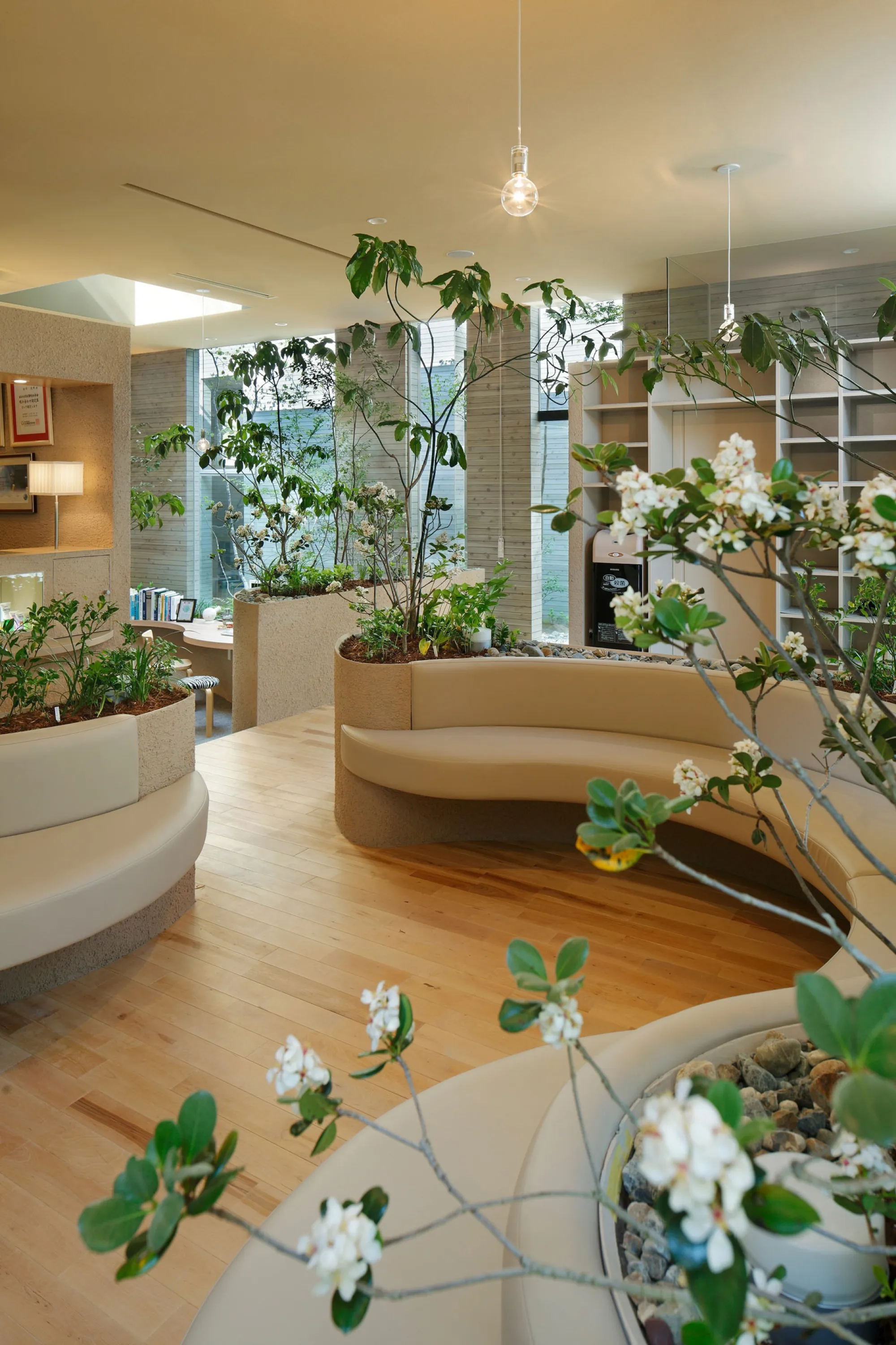 Hospital seating area with curved shapes and plants.
