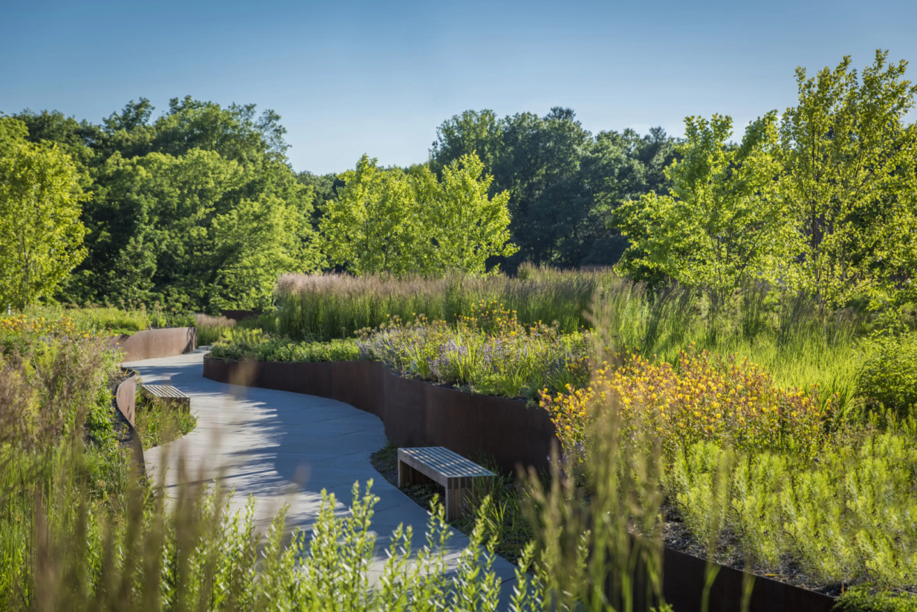 Hospital garden with pathways and seating space.