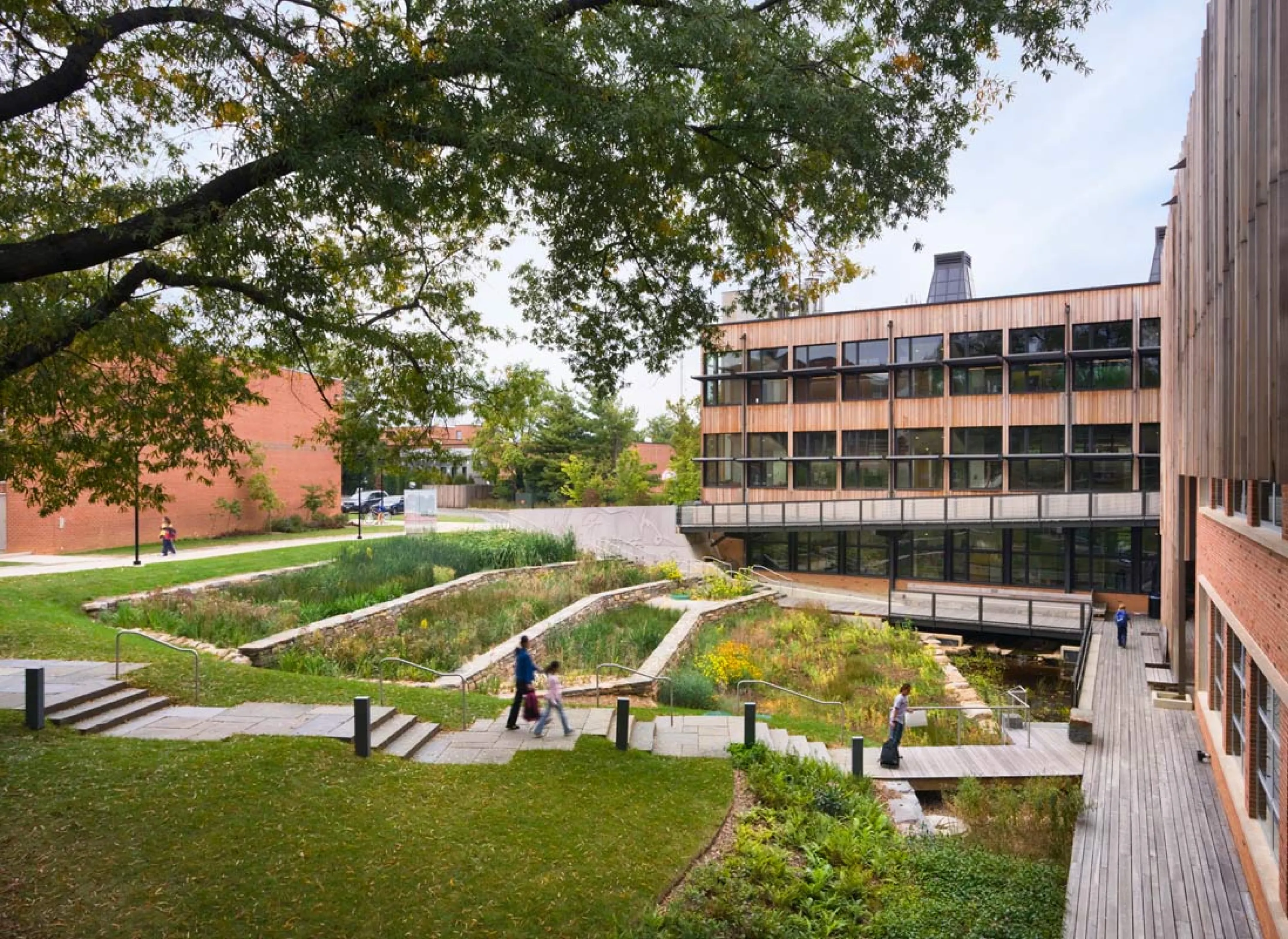 View of the campus with a terraced contructed wetland.
