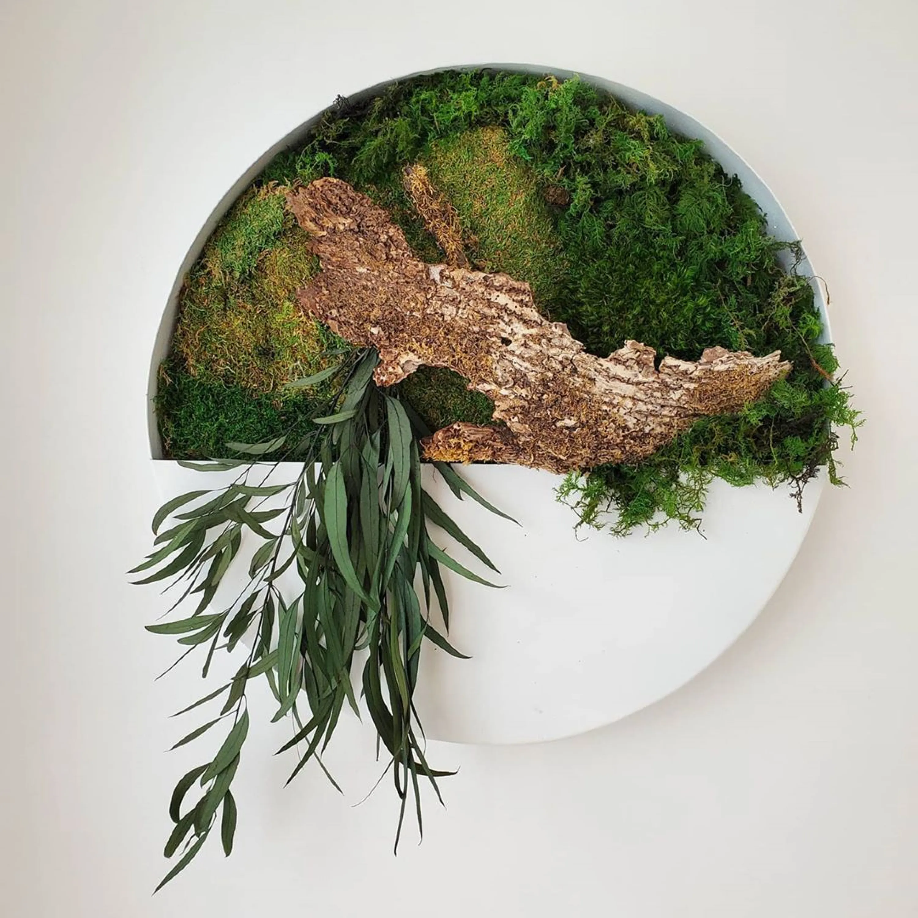 Wall vase filled with moss and living plants.