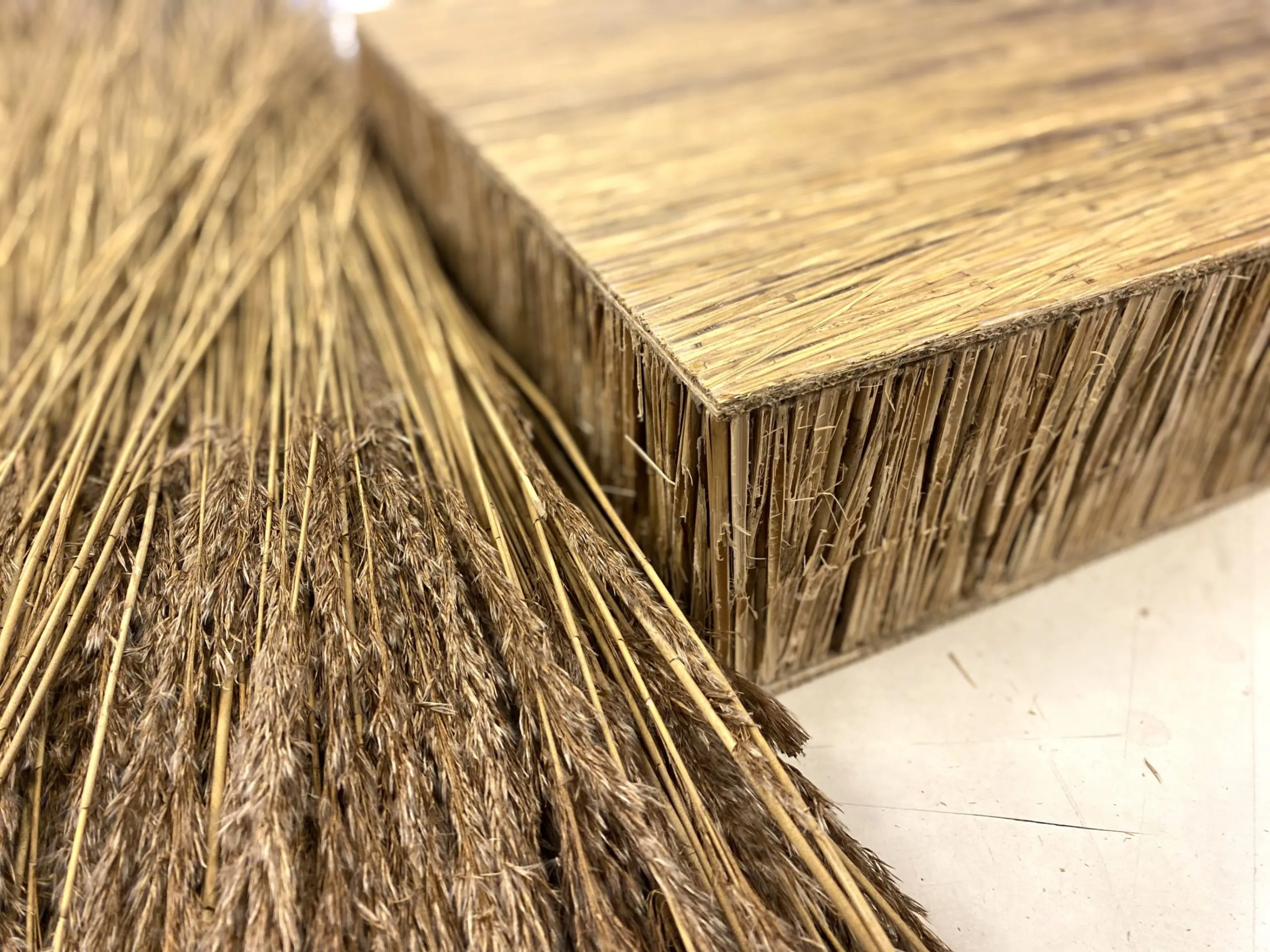 Reed turned into a sandwich panel for construction.
