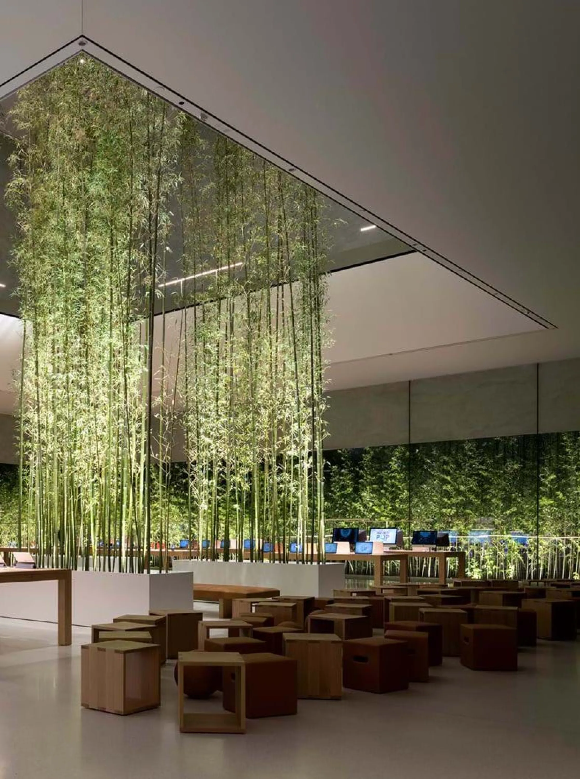 Open retail space divided by floor-to-ceiling greenery.