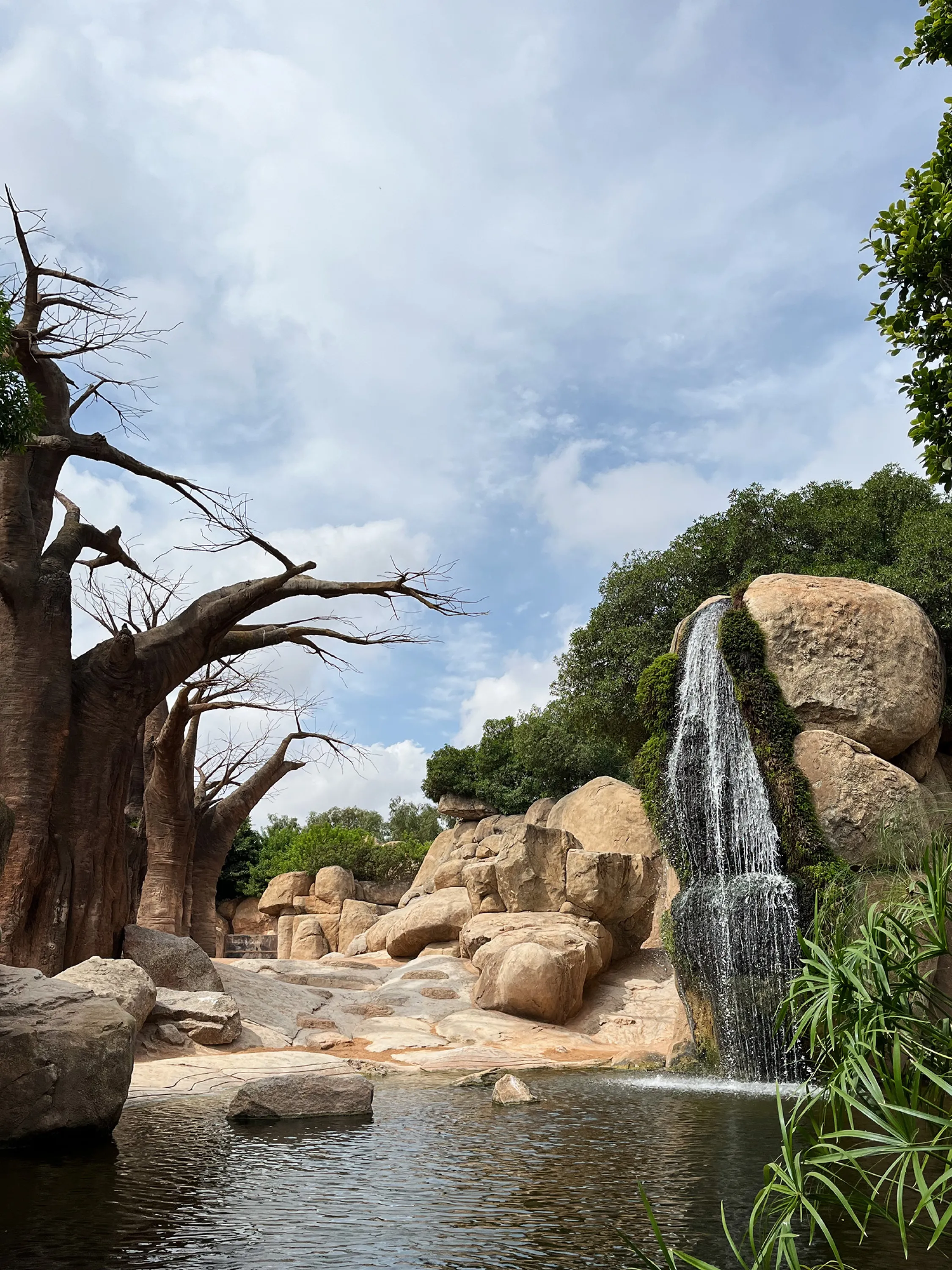 View of the nature-like park.