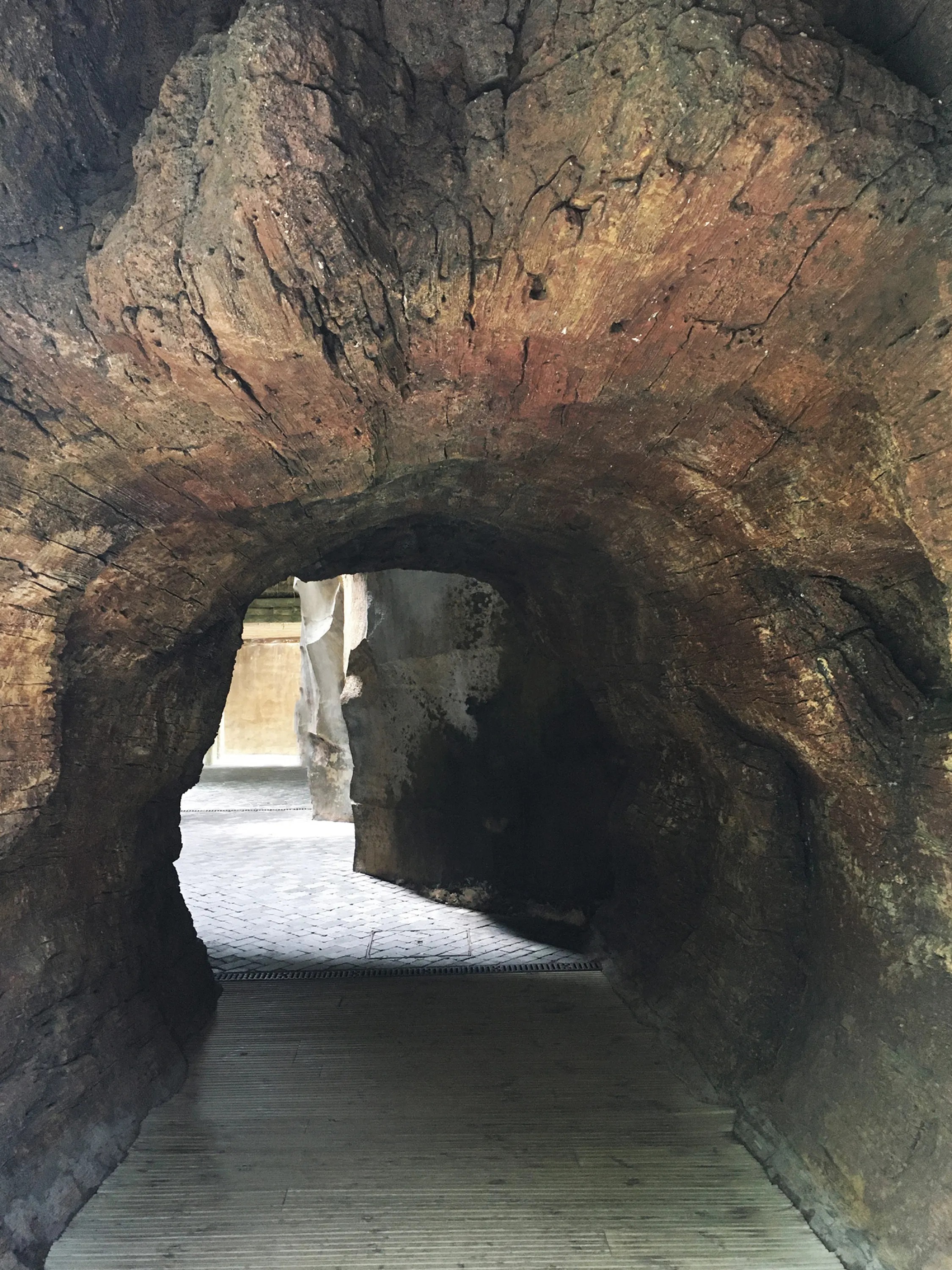 The entrance of the cave-like pathway.