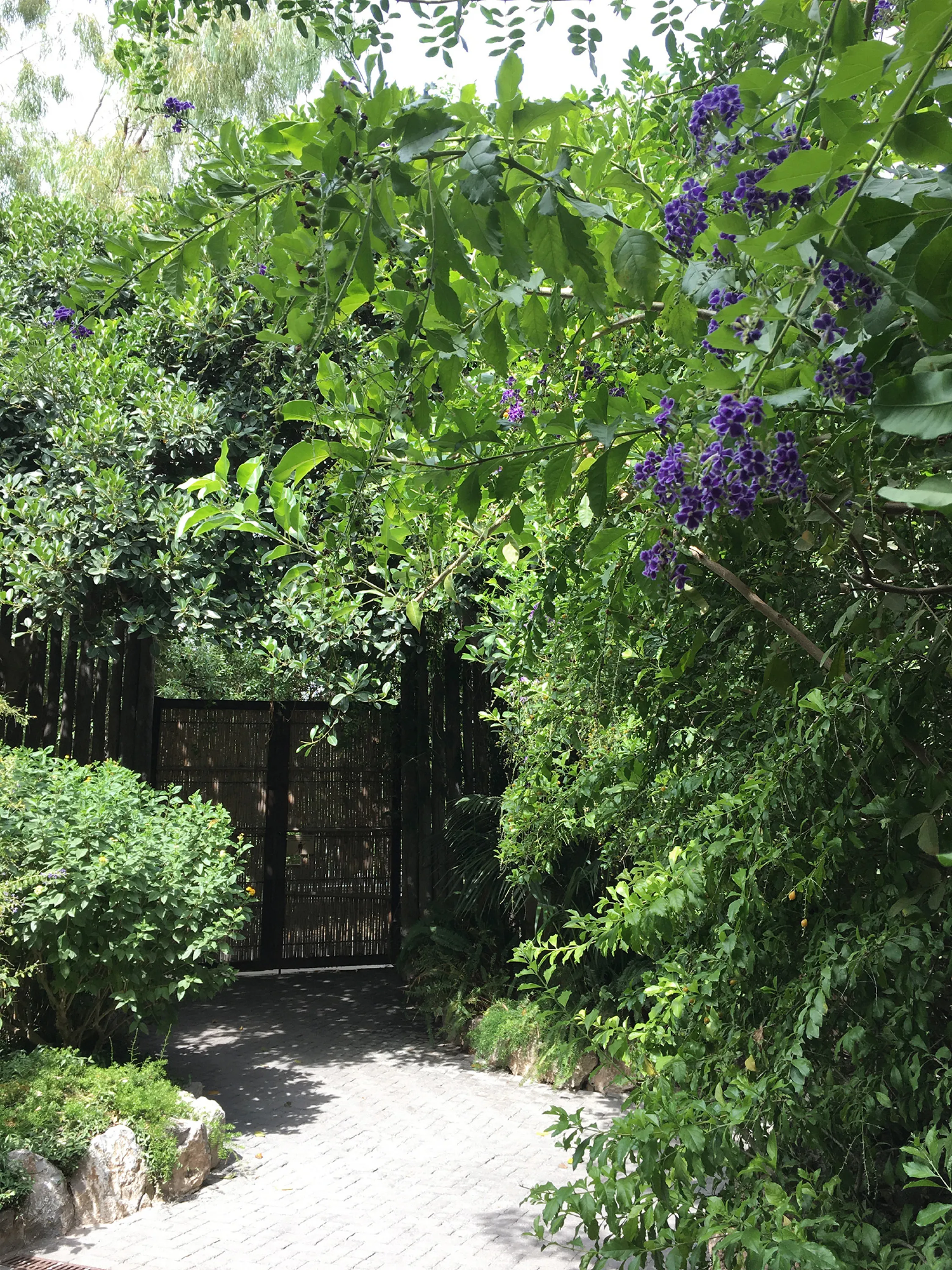 A door made of bamboo strands hidden among greenery.