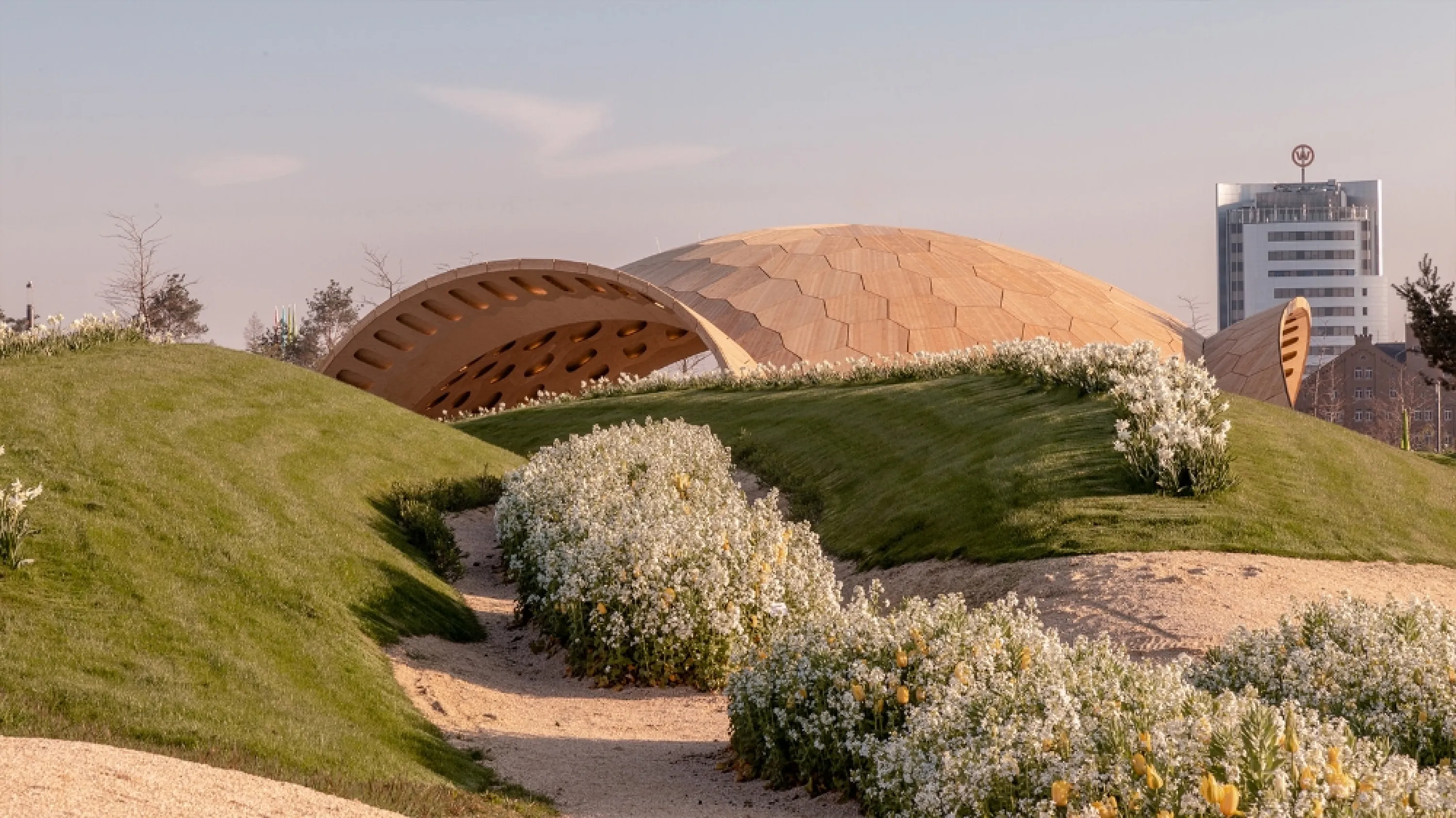 Wood pavillion shaped according to biomimetic computations.