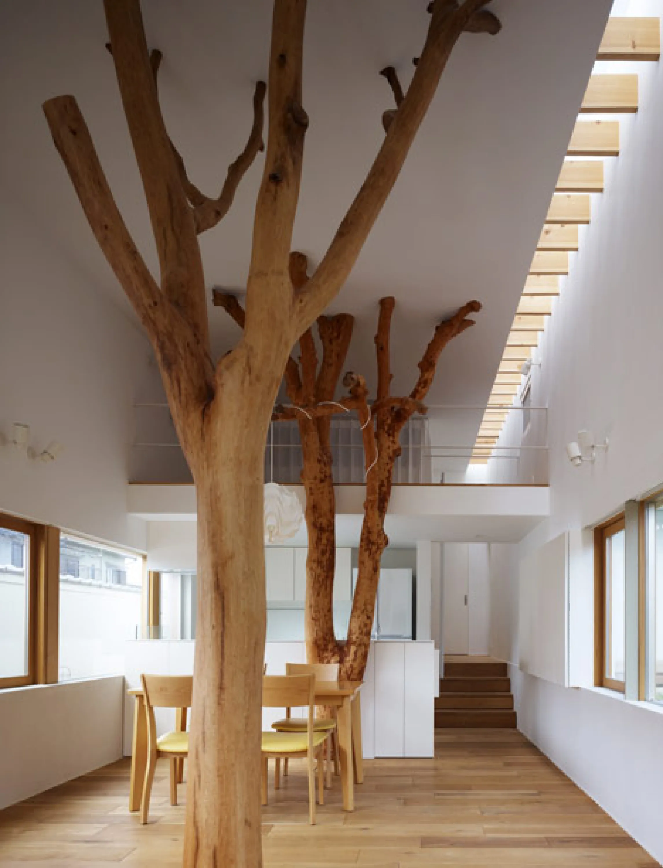 Dining room with trees being part of the interior design, stunning application of biophilic design.