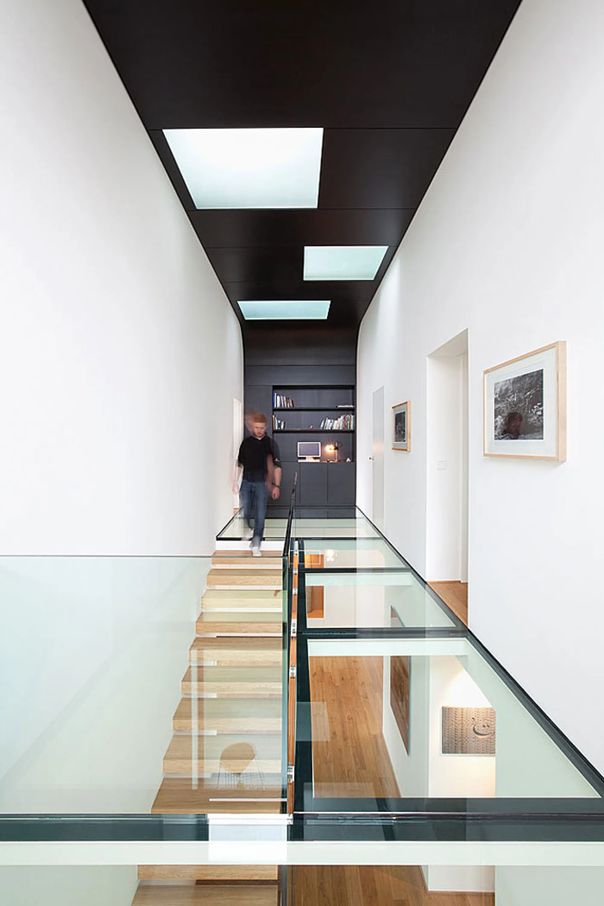 Glass floor, great option to create a sense of risk in a biophilic design.