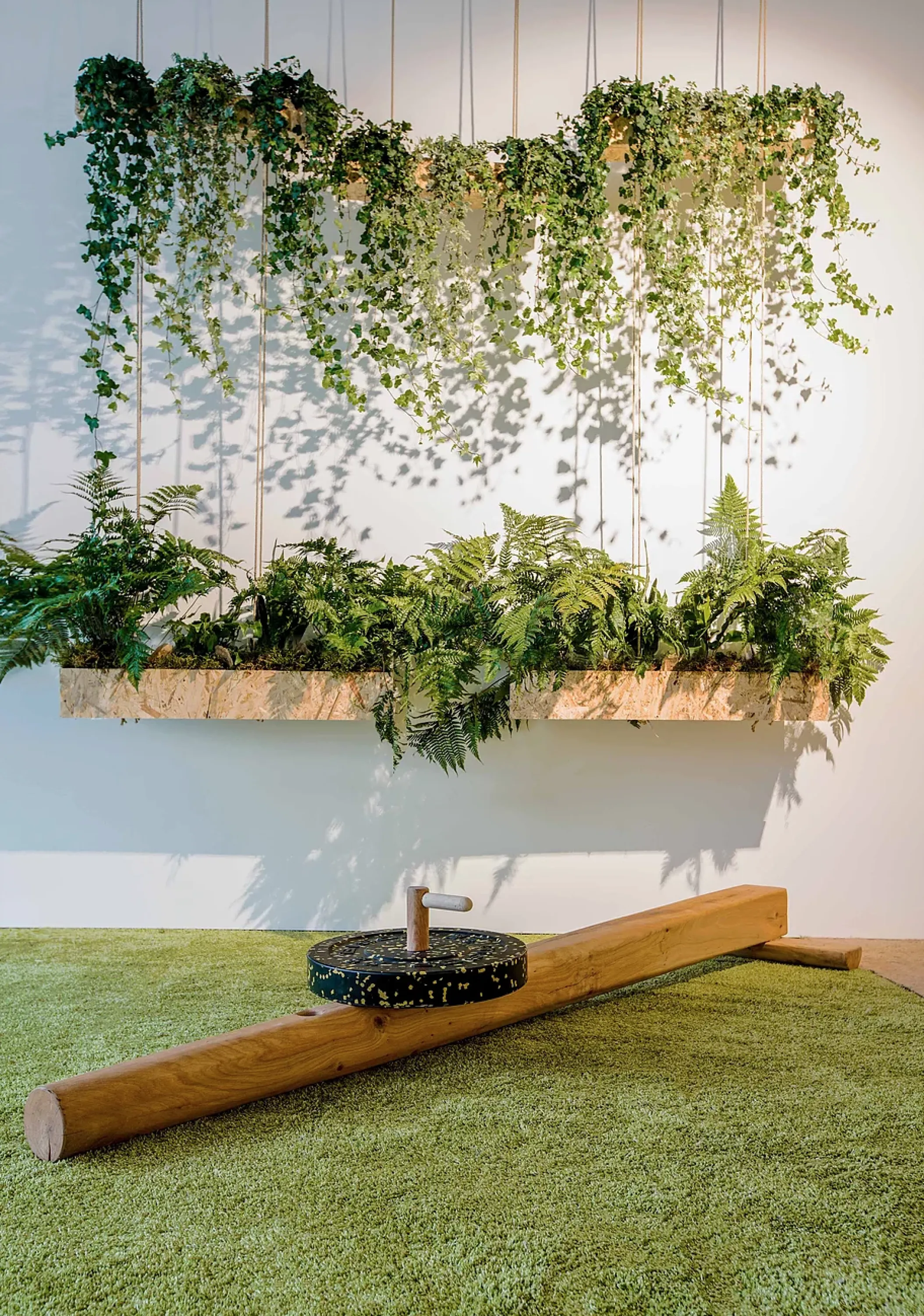 Close-up view of a wooden training equipment with plenty of hanging plants on the wall behind.