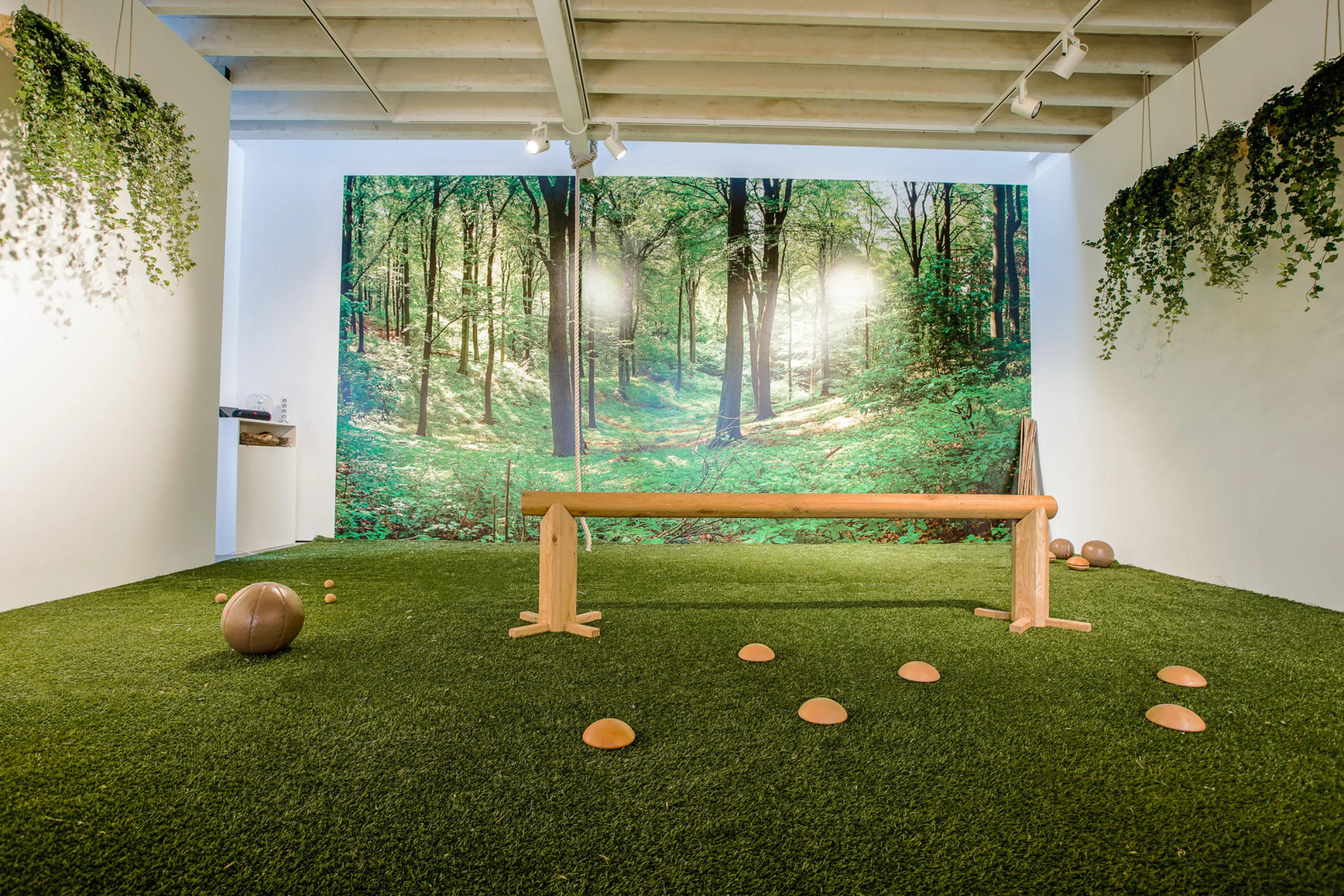 Another view of a biophilic gym. The overall feel is to be immersed in nature, and is achieved with real plants and nature-inspired finishes like a mural depicting a forest and a grass-like carpet.