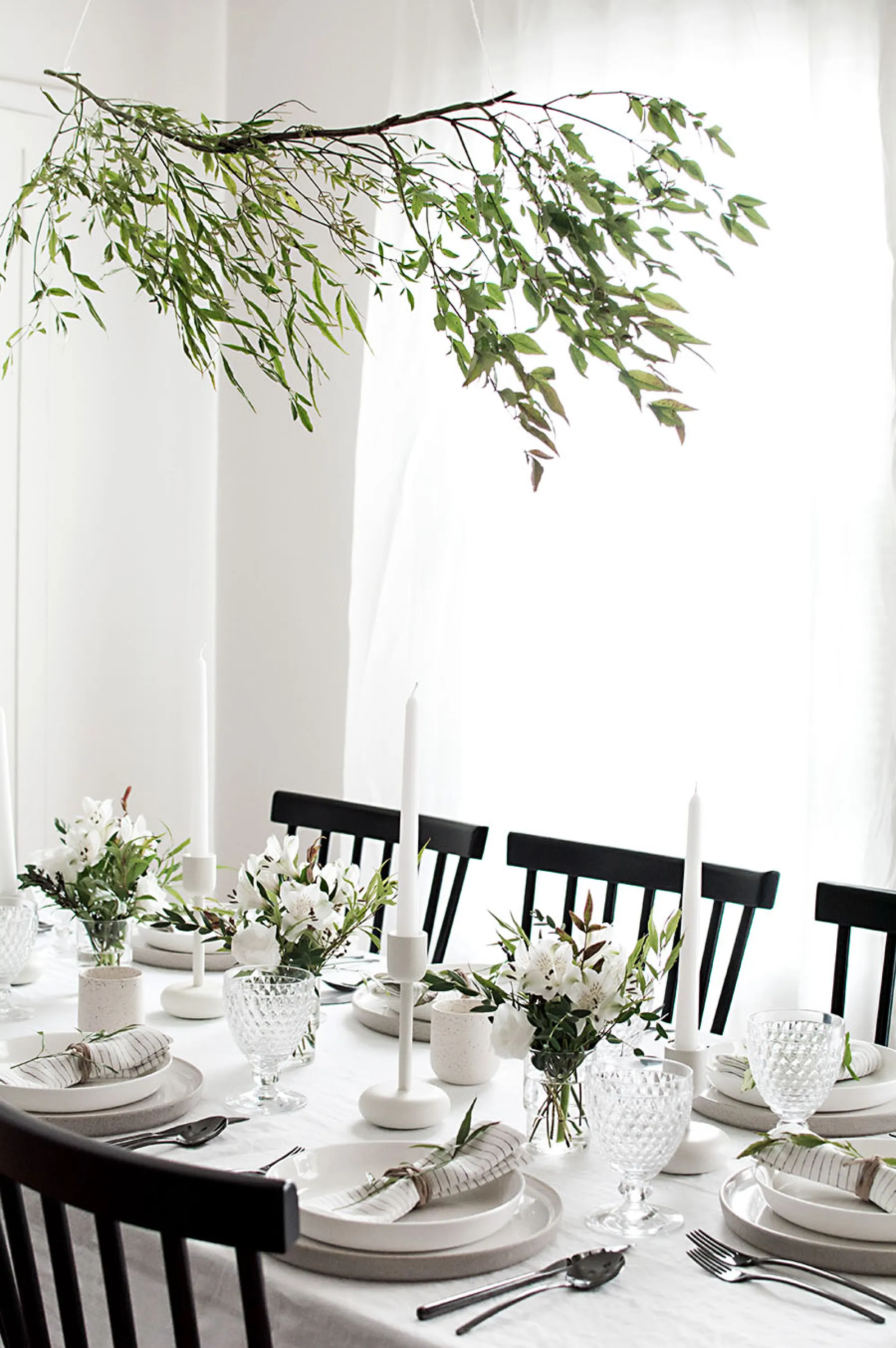 Olive branch hung over a dining table.