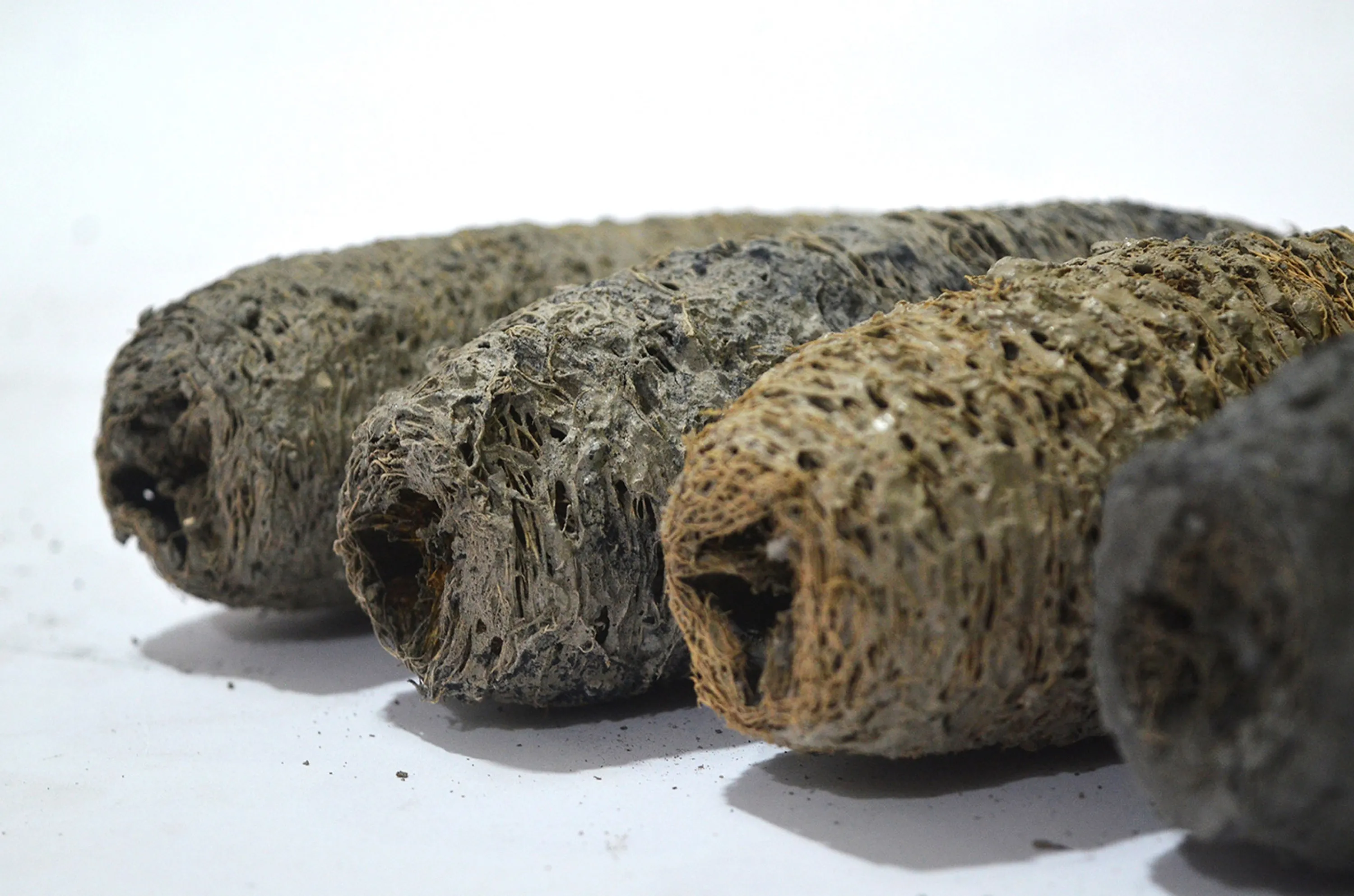 Close-up of the Green Charcoal bio-bricks.