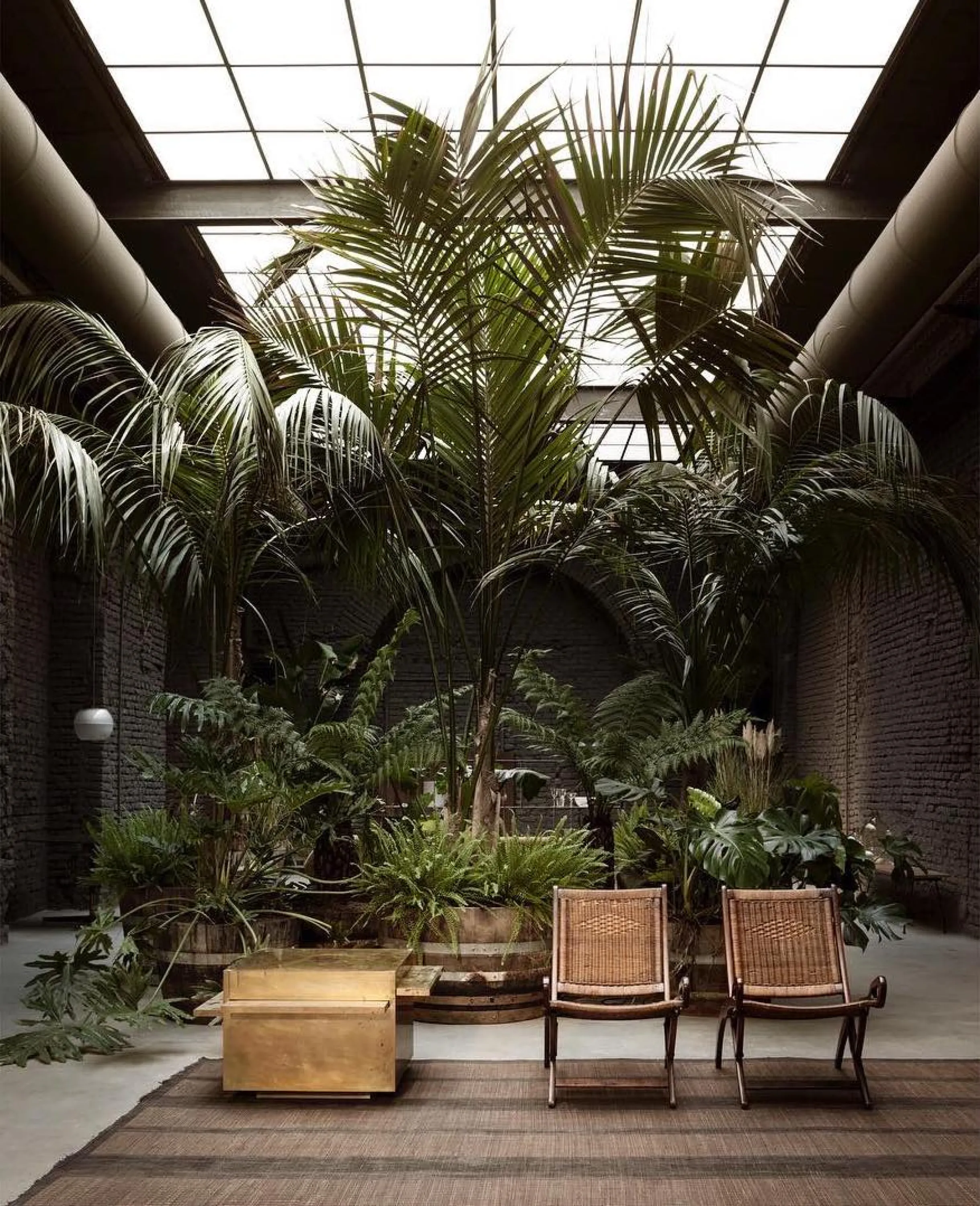 A seating area with plants at different heights.