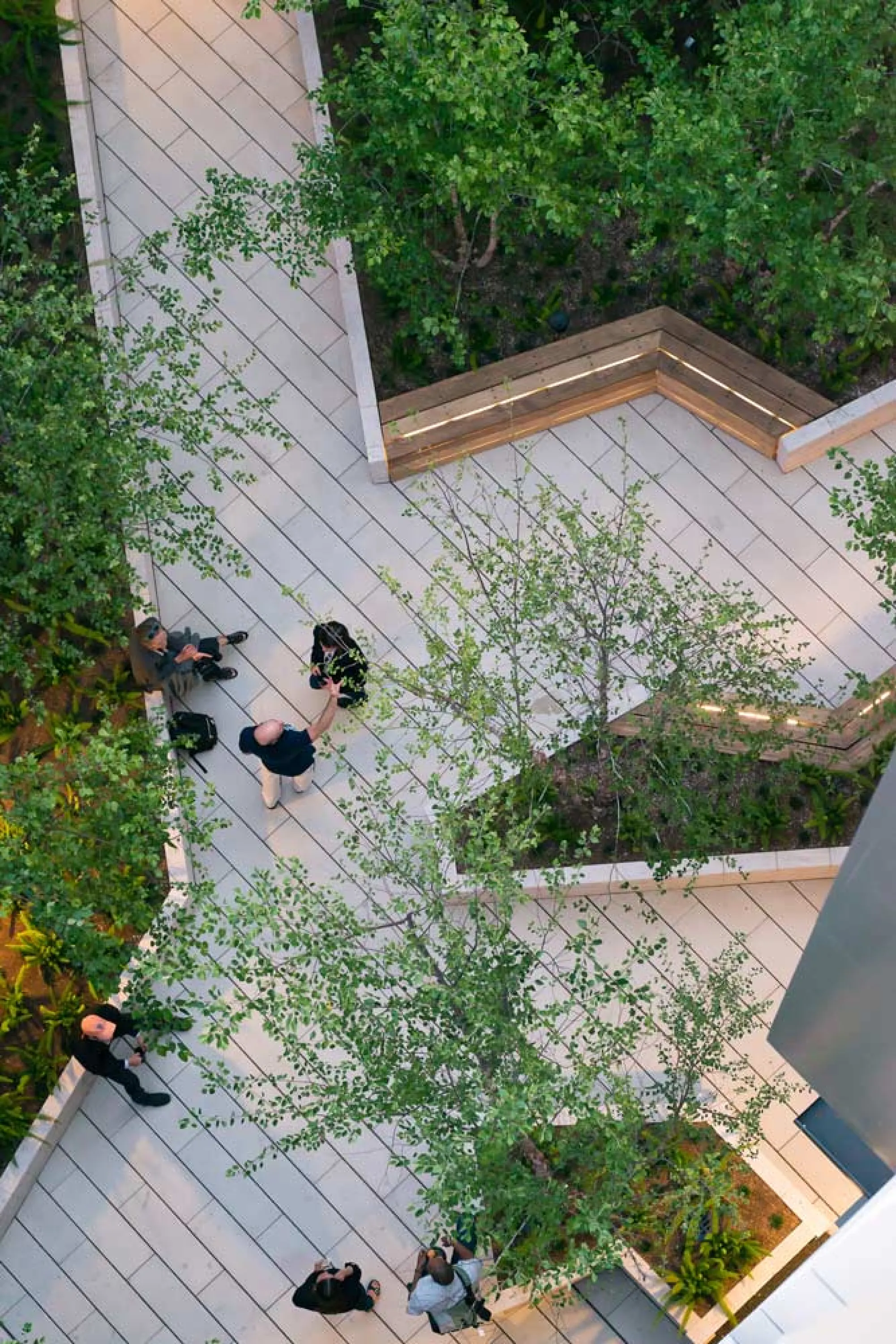 Biophilic city park area.