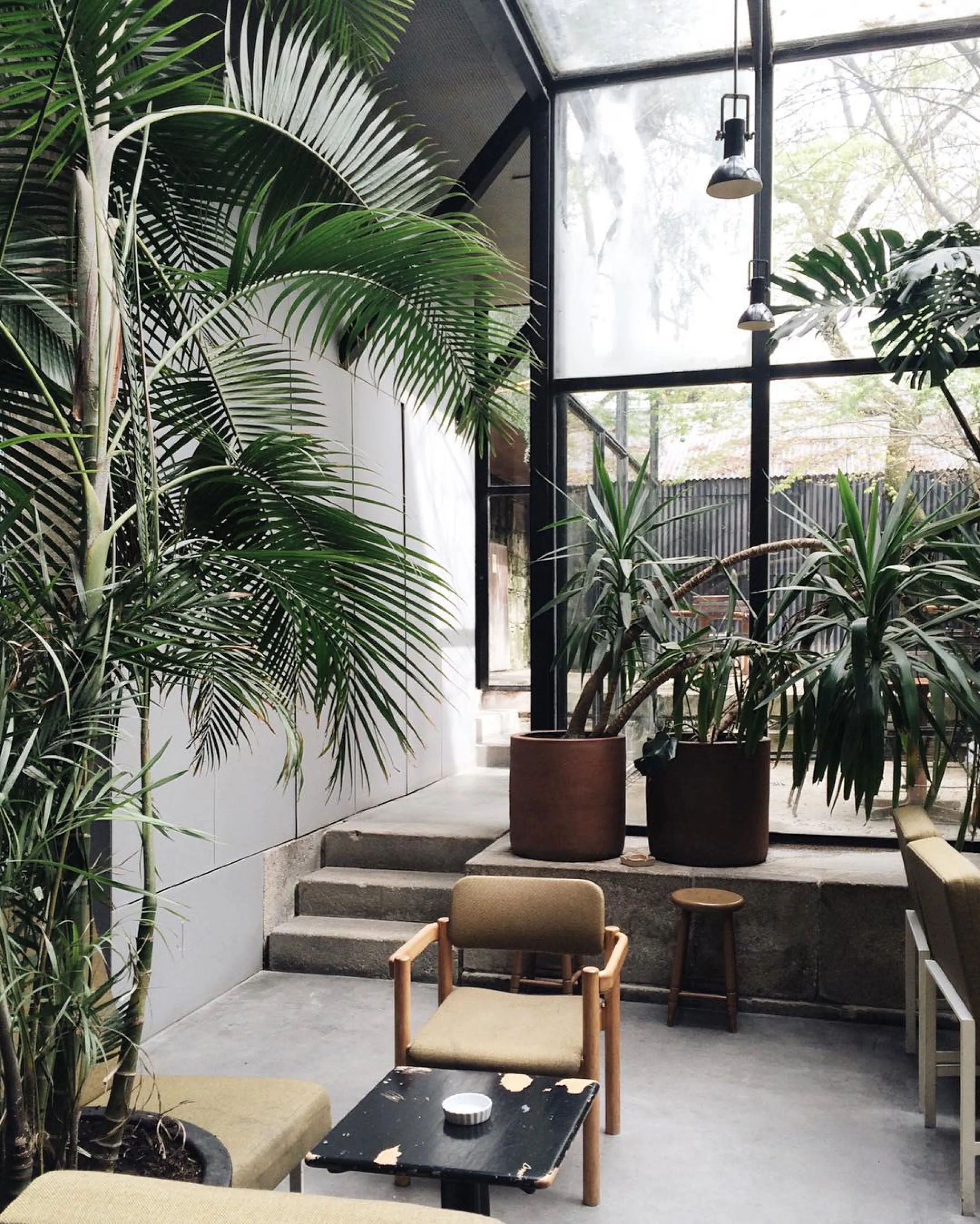 Indoor of a café with plants at different heights around the tables.