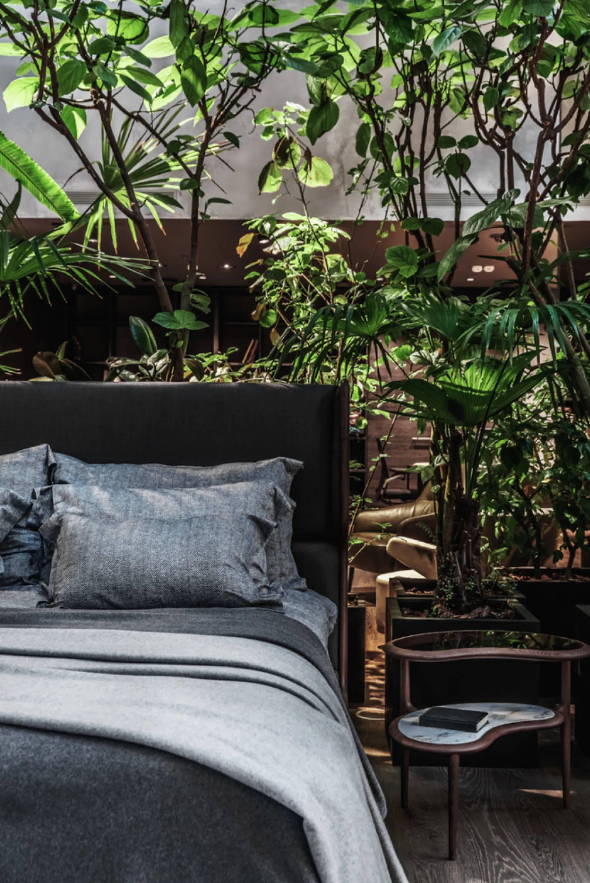 View of a bed with a variety of plants behind it.