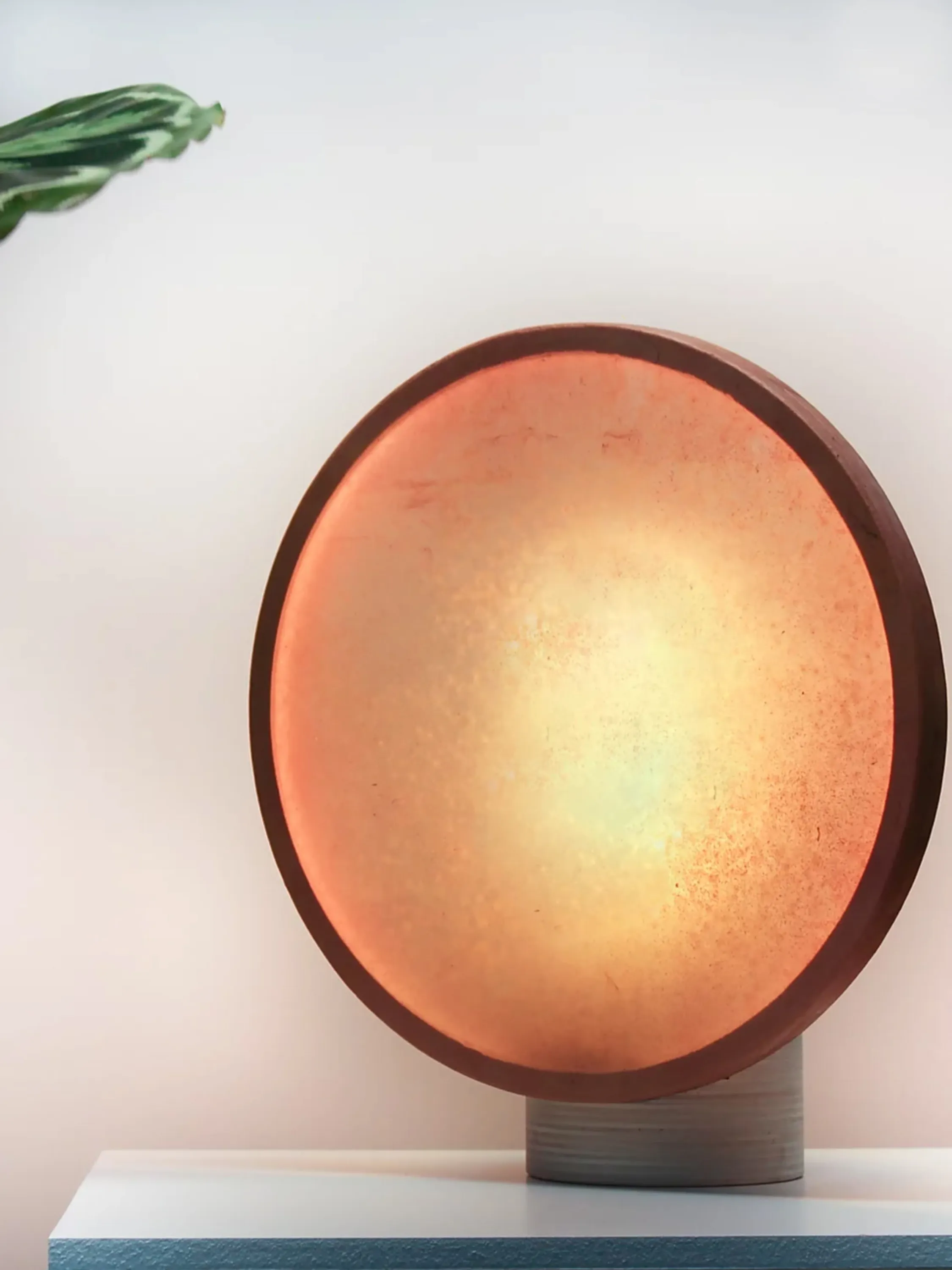 Bacterial cellulose table lamp on on table.