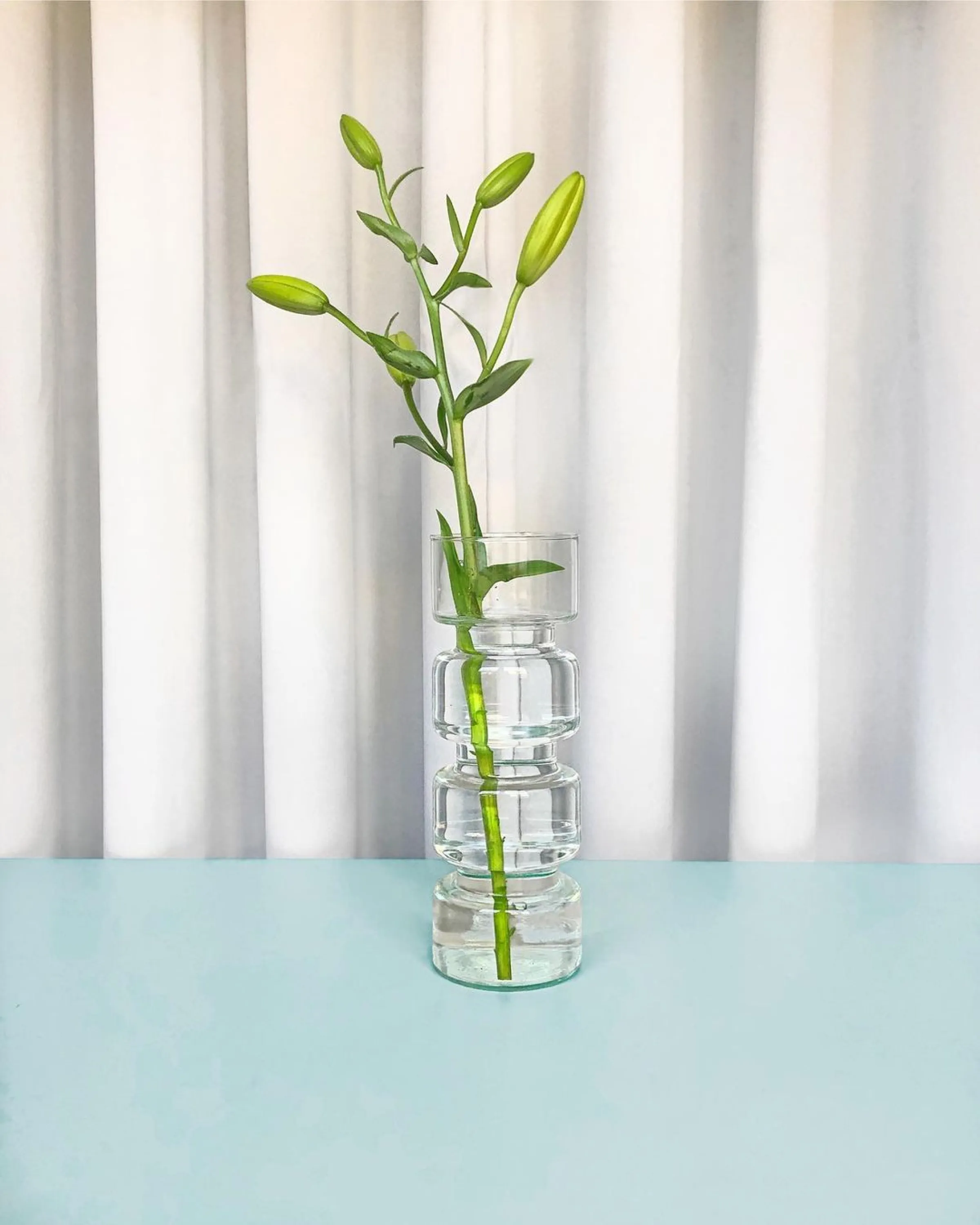 Recycled glass tall vase with flower stem inside.